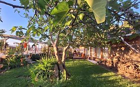 Pilgrims Rest - Vila Nova De Cerveira - Hostel - Albergue - Al